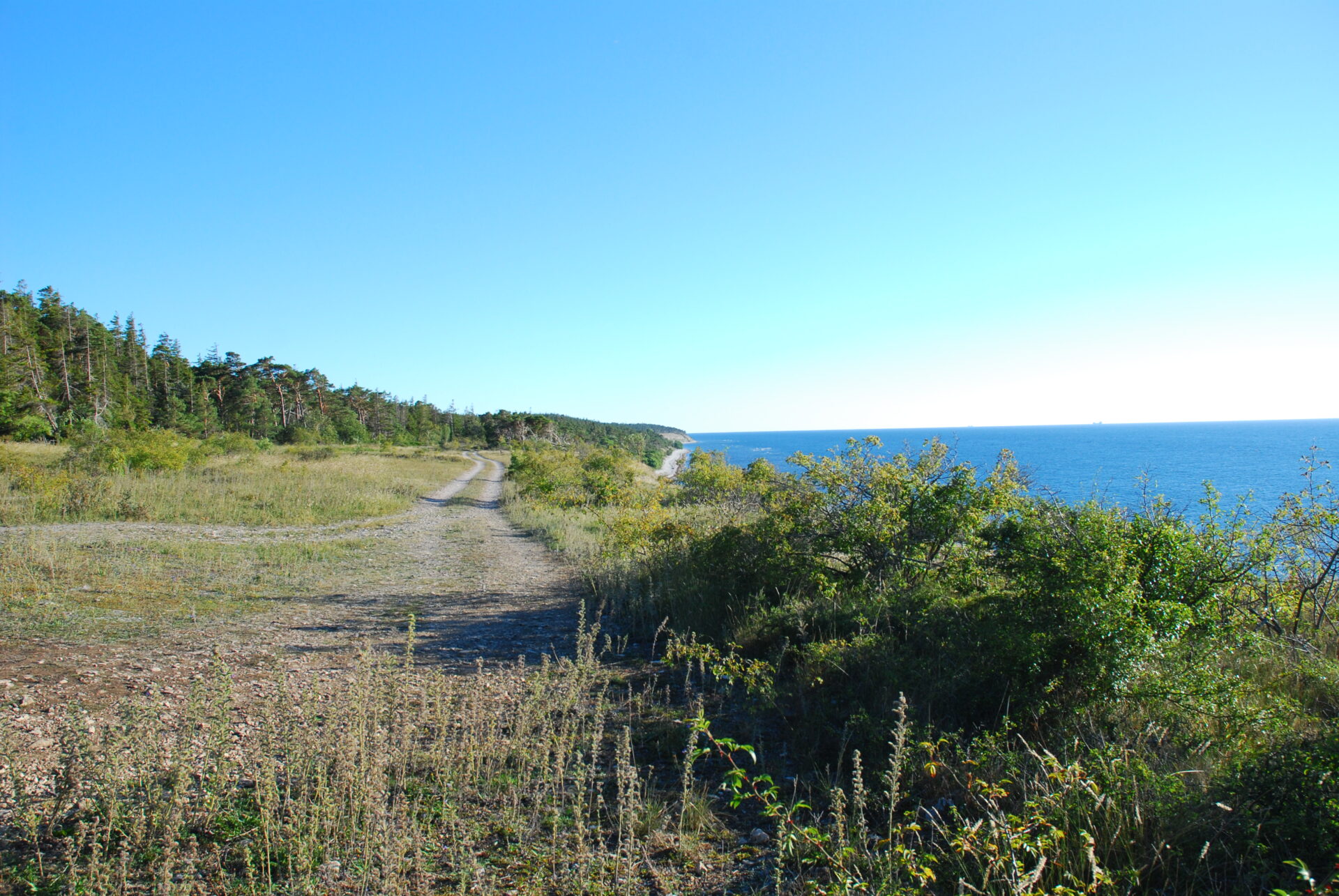 Campa på Gotland